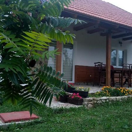 Nektar Park Villa Sara Bihać Dış mekan fotoğraf