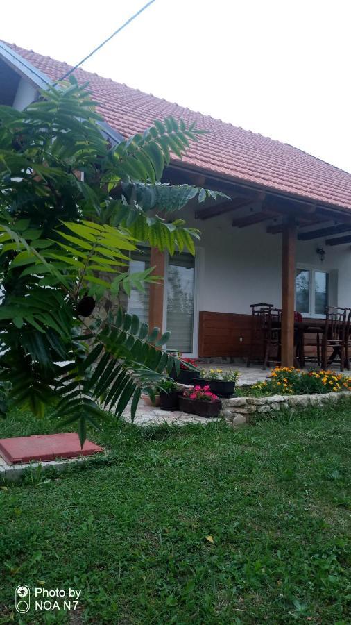 Nektar Park Villa Sara Bihać Dış mekan fotoğraf