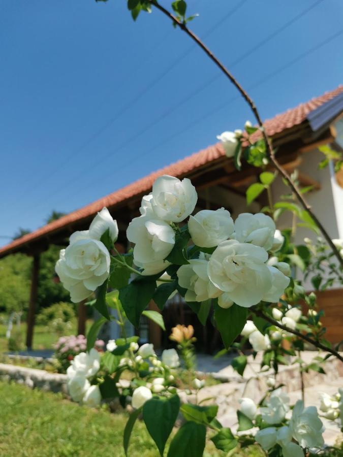 Nektar Park Villa Sara Bihać Dış mekan fotoğraf