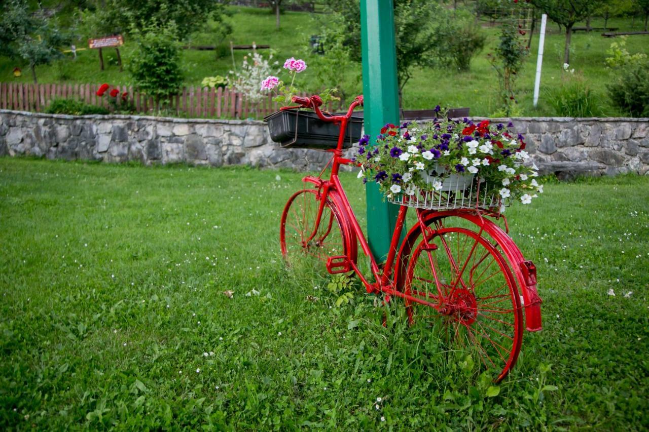Nektar Park Villa Sara Bihać Dış mekan fotoğraf