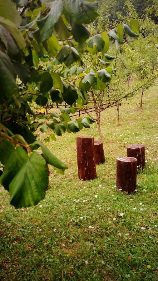 Nektar Park Villa Sara Bihać Dış mekan fotoğraf
